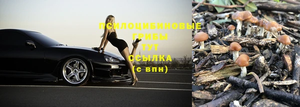 герыч Алзамай