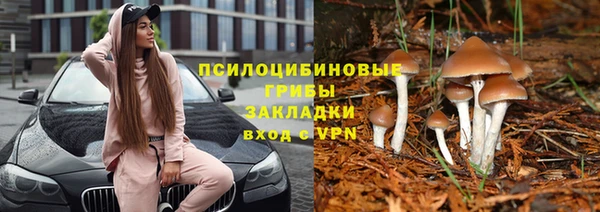 прущий лед Алексин