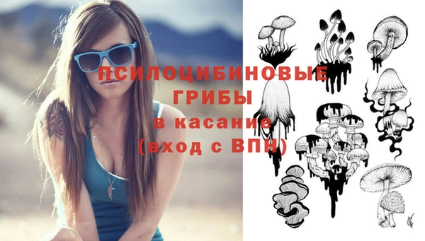 прущий лед Алексин