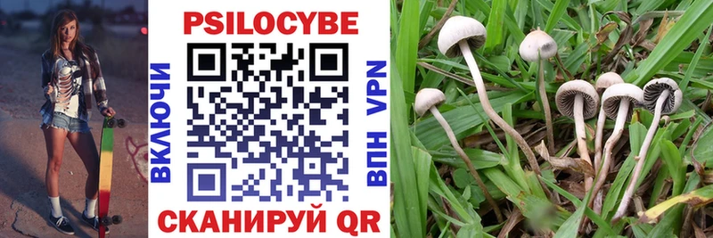 Псилоцибиновые грибы Magic Shrooms KRAKEN онион Старая Русса где можно купить